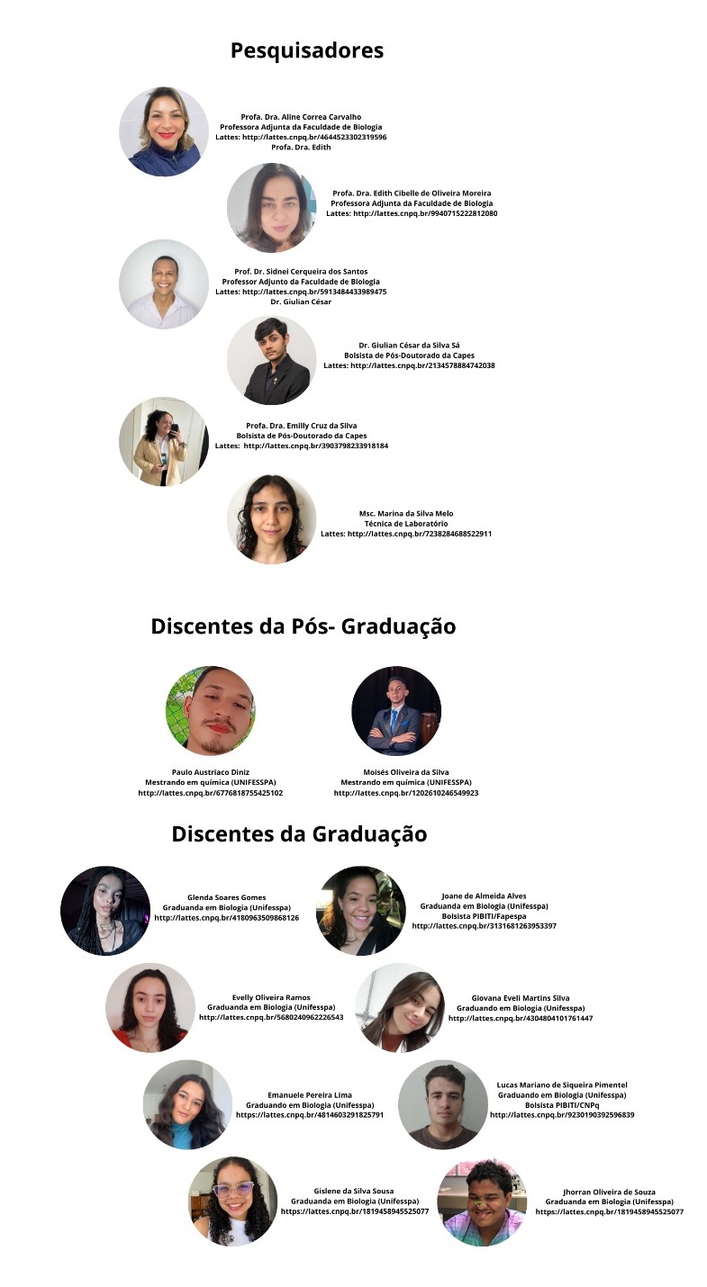 Equipe 07 08 2024 Labio
