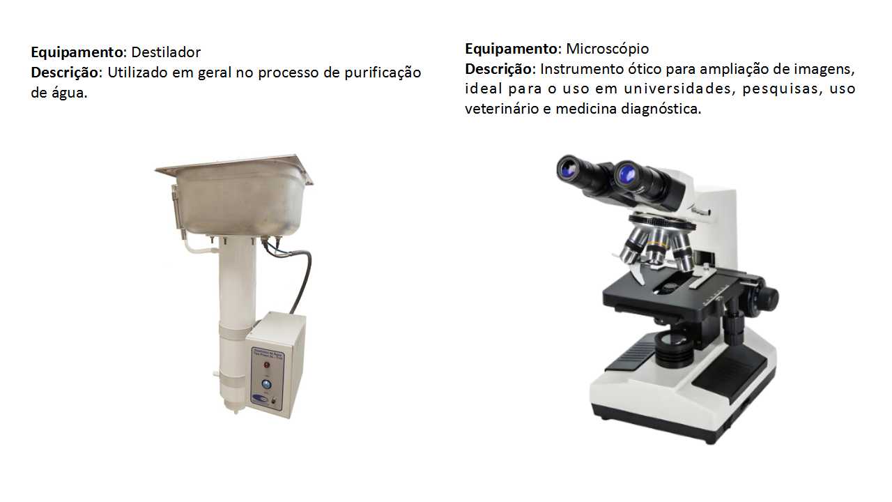 Slide6